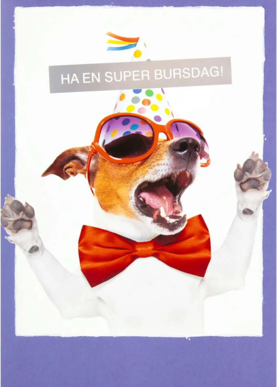 Kort Ha en super bursdag!