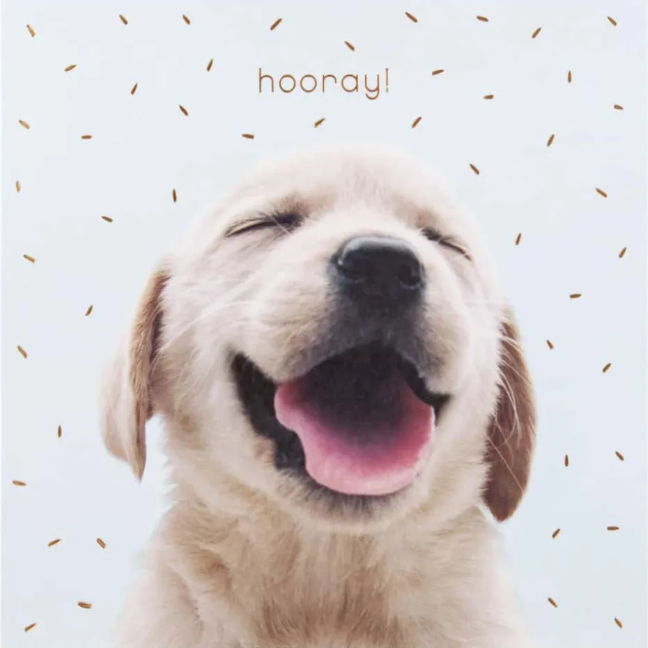Kort Hooray!