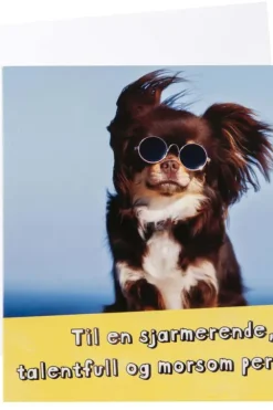 Kort Hund med briller