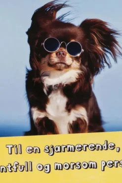 Kort Hund med briller
