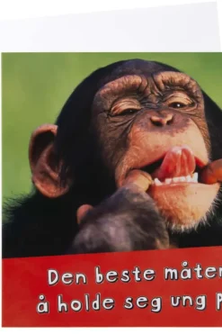 Kort Sjimpanse