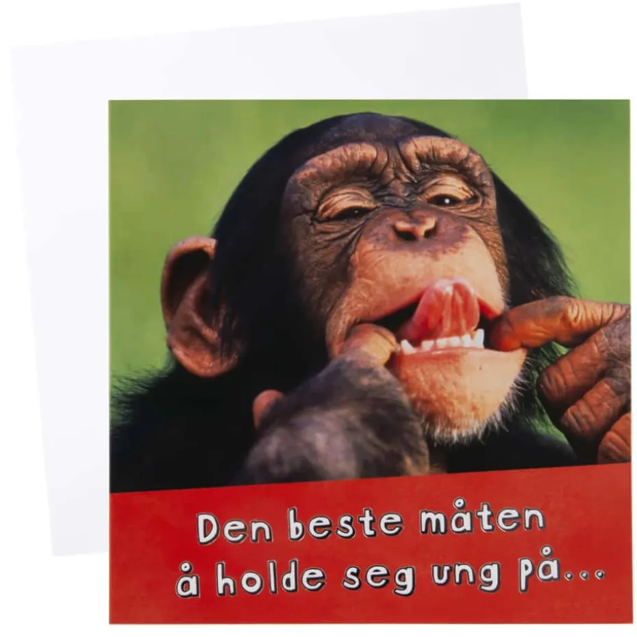 Kort Sjimpanse