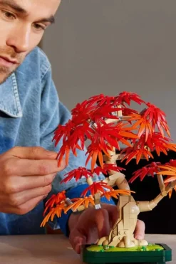 LEGO® Botanicals Bonsaitre: Japansk lønn 10348
