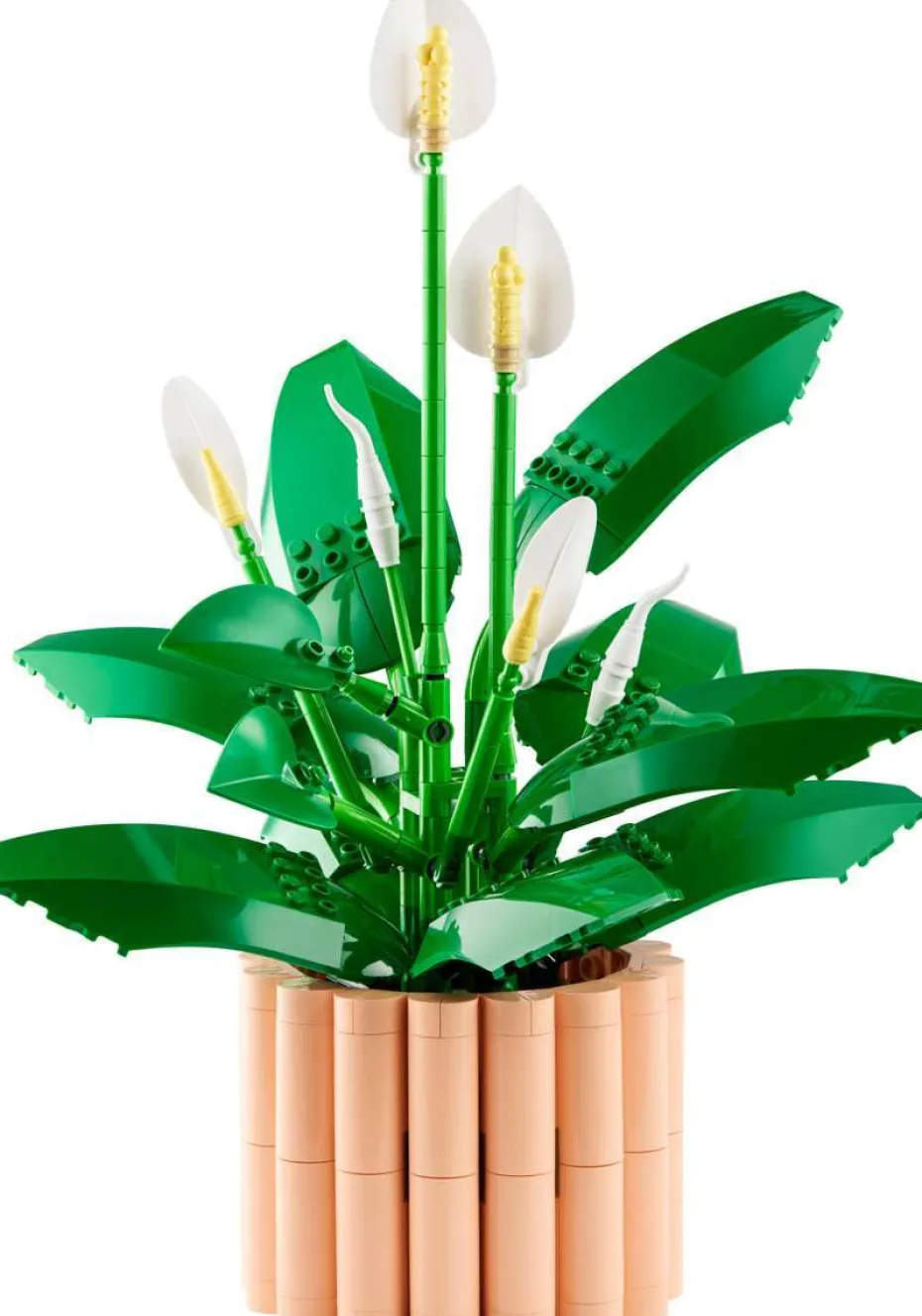 LEGO® Botanicals Fredslilje 11504