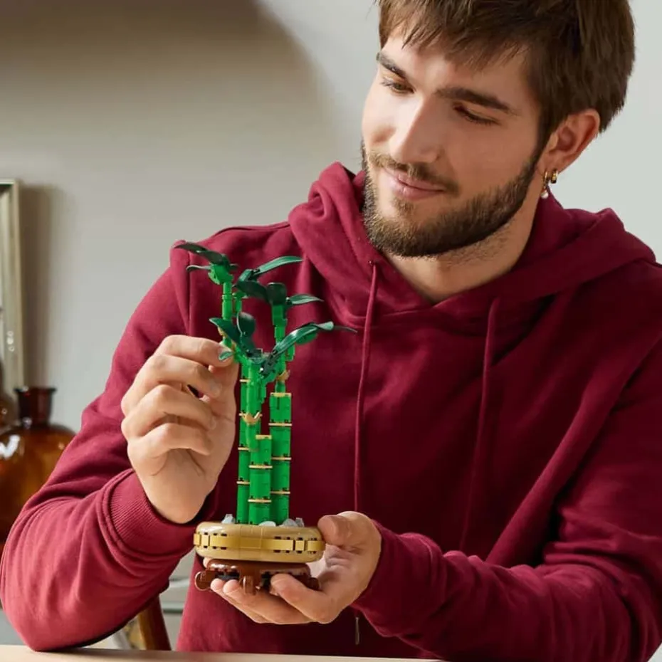 LEGO® Botanicals Lykkebambus 10344