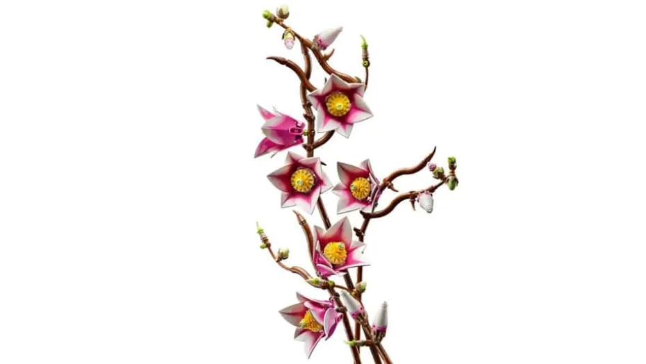 LEGO® Botanicals Magnolia-grener 11510