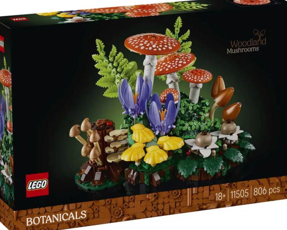 LEGO® Botanicals Skogsopp 11505