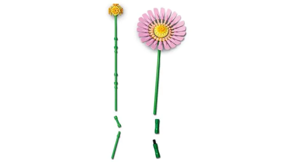 LEGO® Botanicals Søt sommerbukett 10347