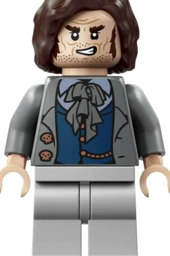 LEGO® Harry Potter™ Magibutikker i Spindelsmuget 76471