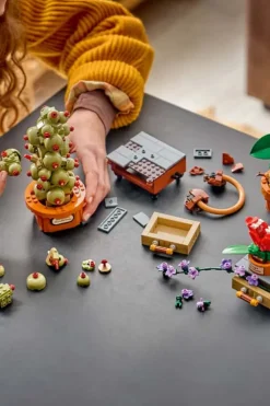 LEGO® Harry Potter™ Urtologiplanter på Galtvort 76474