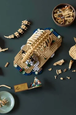 LEGO® Jurassic World Dinosaurfossiler: Triceratops 77985