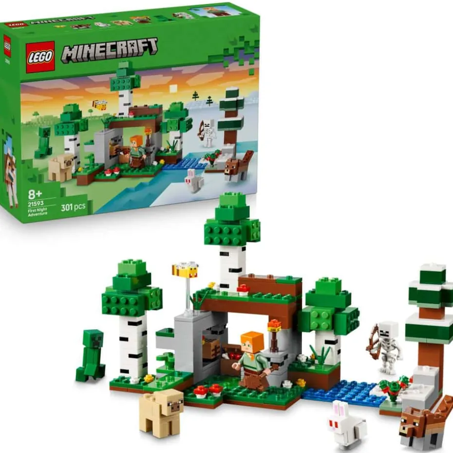 LEGO® Minecraft® Eventyr den første natten 21593