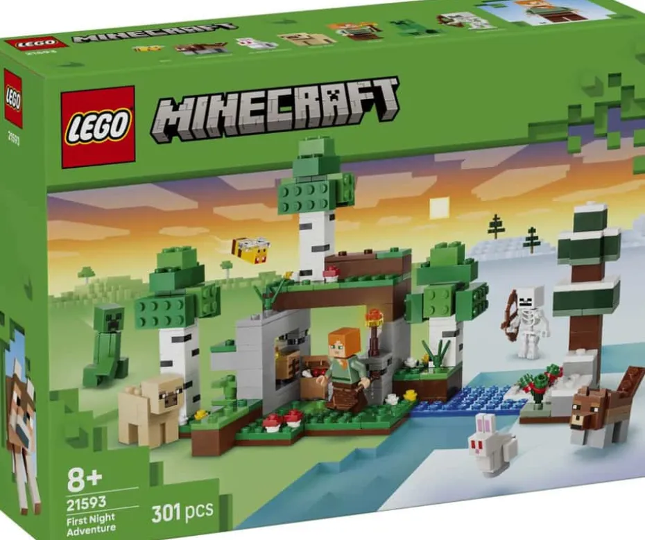 LEGO® Minecraft® Eventyr den første natten 21593
