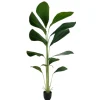Licuala grandis kunstig plante