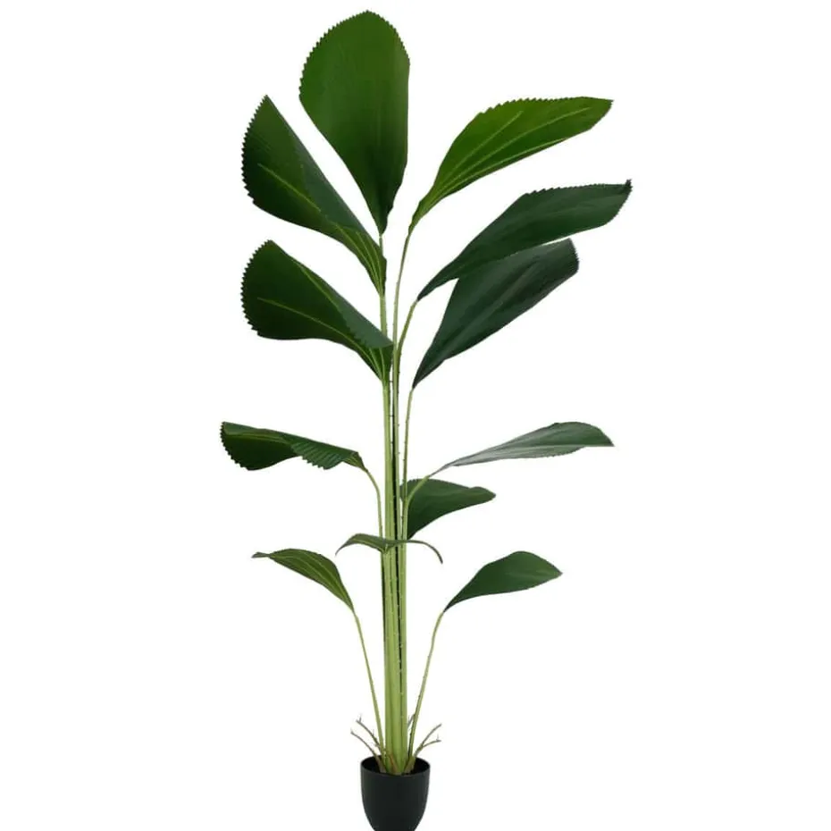 Licuala grandis kunstig plante