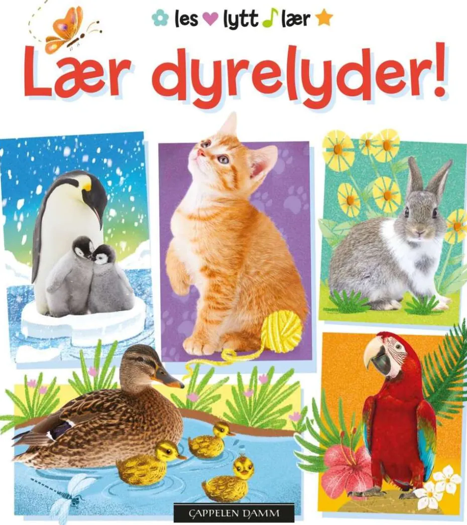 Lær dyrelyder!