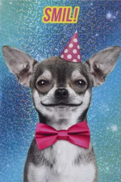 Lydkort Smil