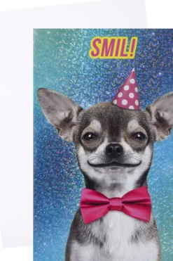 Lydkort Smil