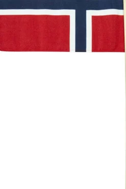 17.mai flagg