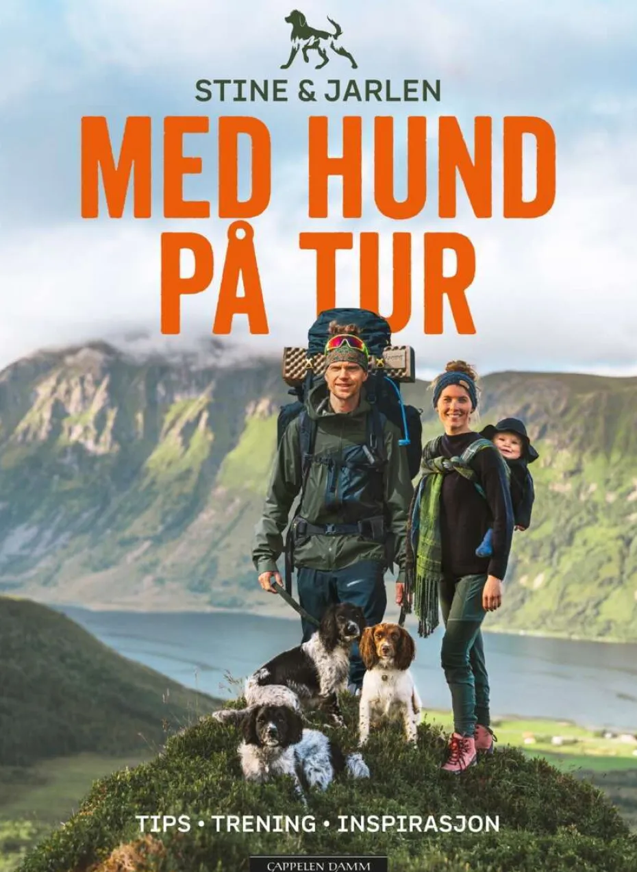 Med hund på tur