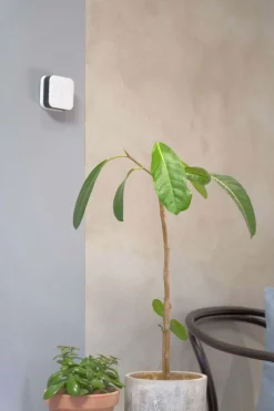 Mill Sense inneklimasensor med WiFi