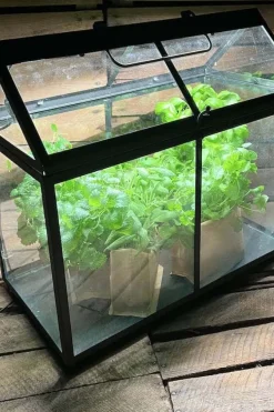 Minidrivhus med LED list