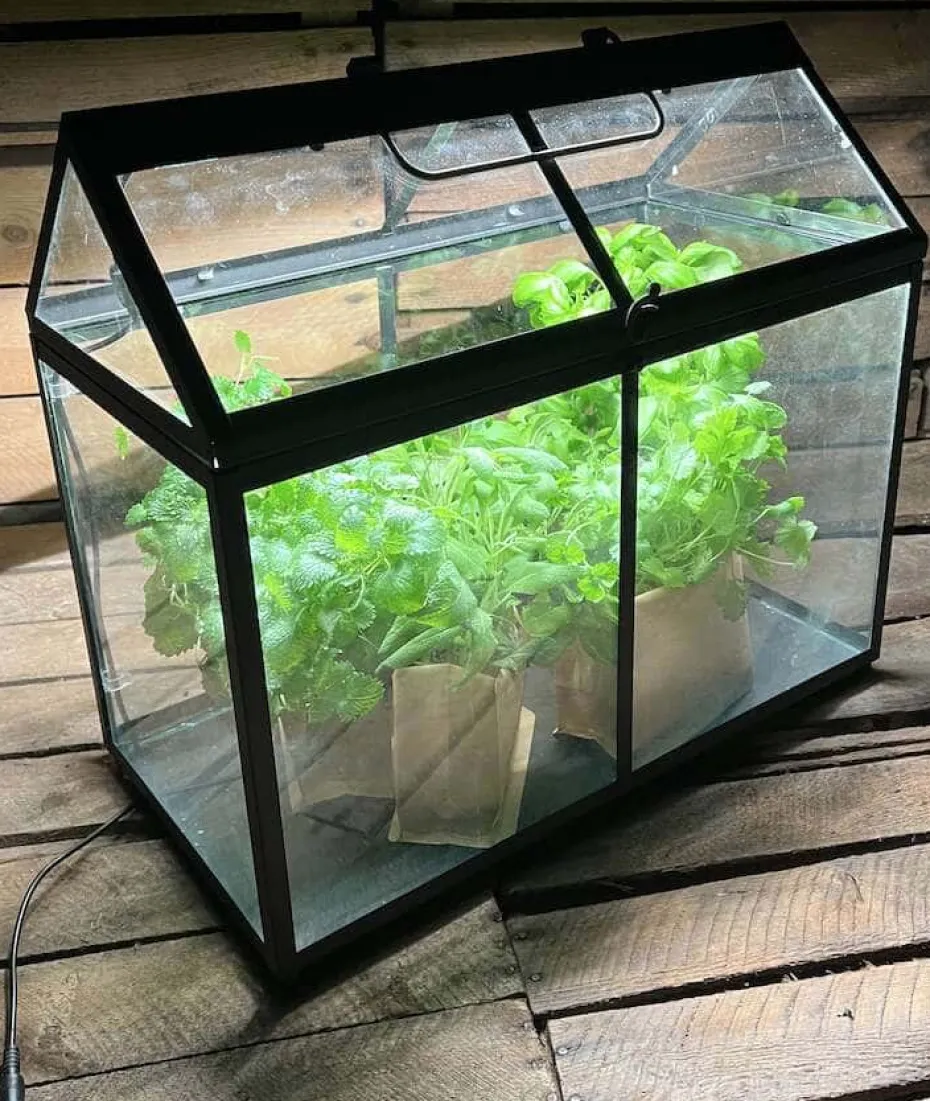 Minidrivhus med LED list