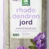 Änglamark Rhododendron jord
