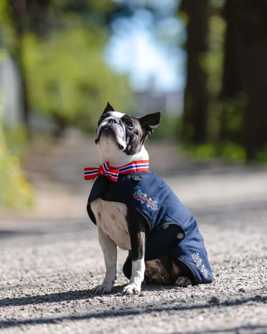 Northpeak Ingrid hundedekken