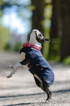 Northpeak Ingrid hundedekken