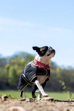 Northpeak Solveig hundedekken