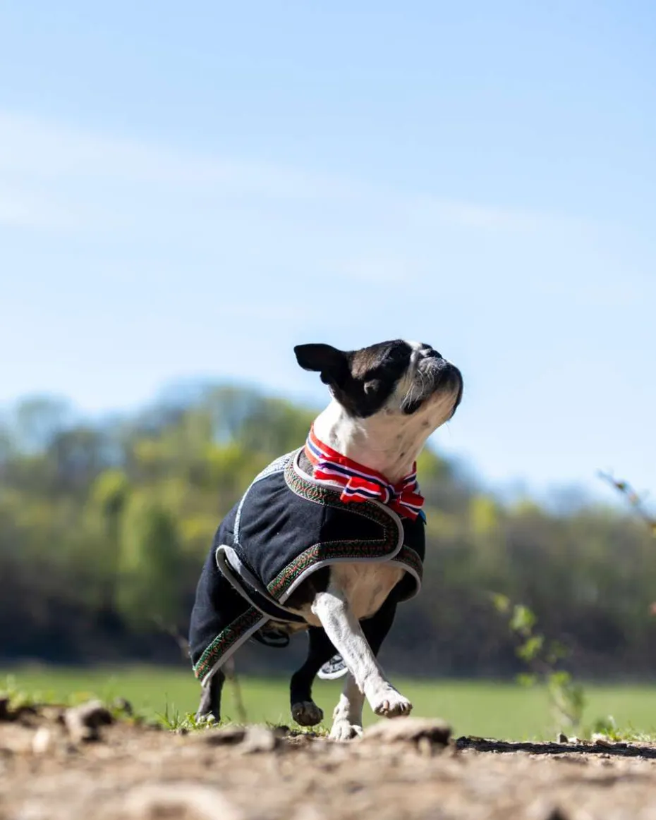 Northpeak Solveig hundedekken