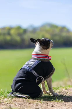Northpeak Solveig hundedekken