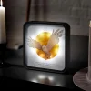 numskull® Official Harry Potter Hedwig Perspex lampe