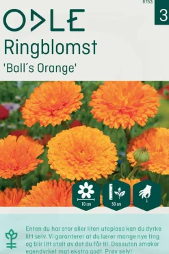 Odle 'BallS Orange' ringblomst frø