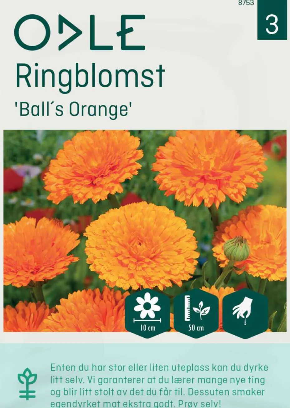 Odle 'BallS Orange' ringblomst frø