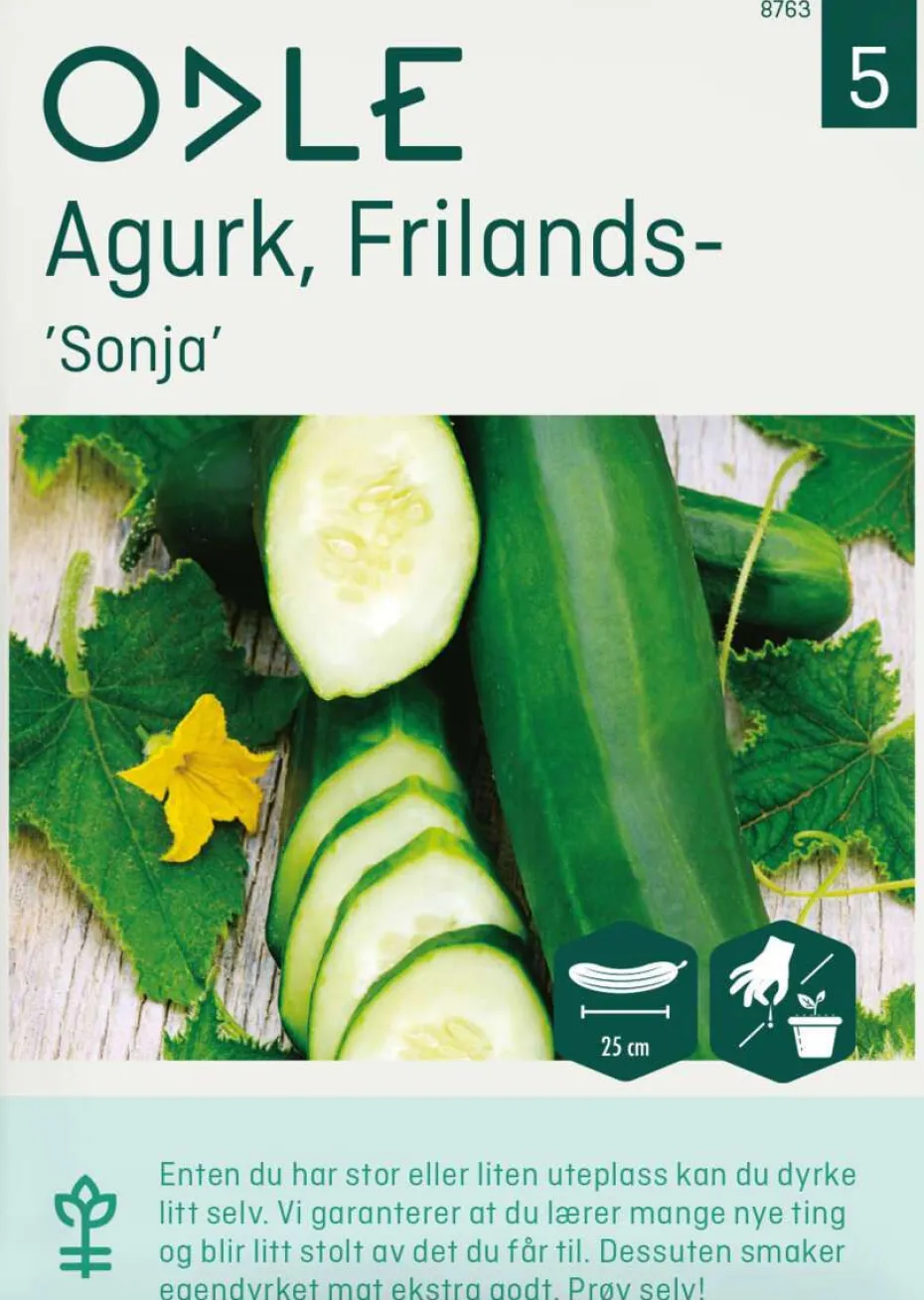 Odle agurk, frilands-, sonja frø