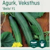 Odle 'Bella' F1 veksthus slangeagurk frø