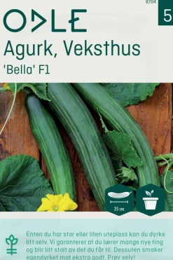 Odle 'Bella' F1 veksthus slangeagurk frø