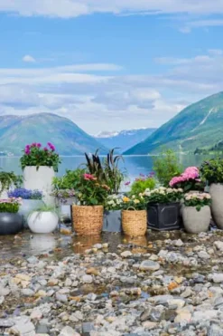 Odle Bergen potte