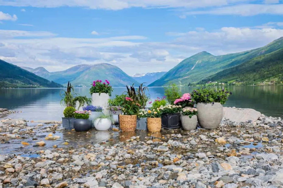 Odle Bergen potte