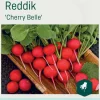 Odle 'Cherry Belle' reddik frø