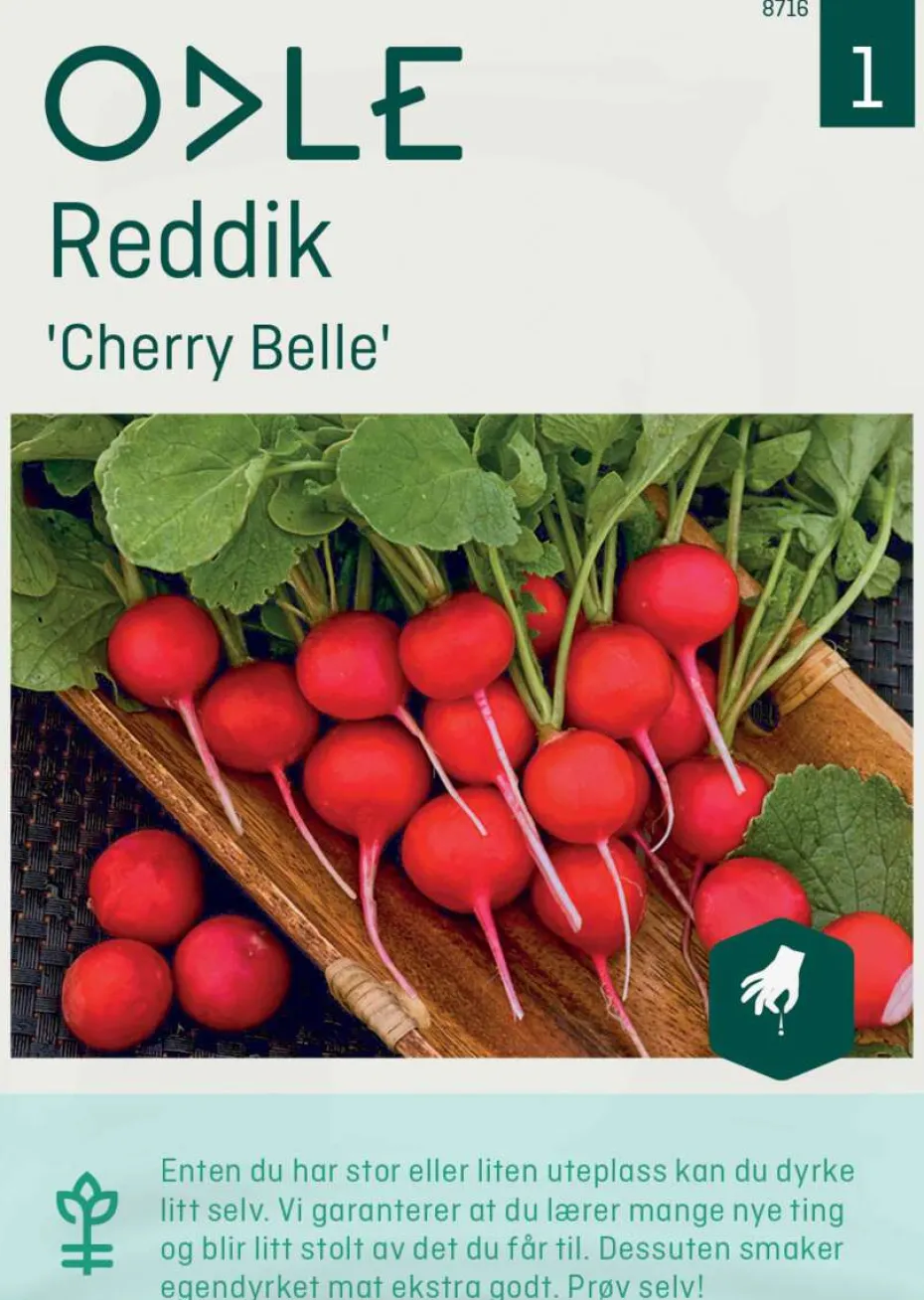 Odle 'Cherry Belle' reddik frø