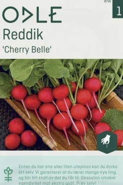 Odle 'Cherry Belle' reddik frø