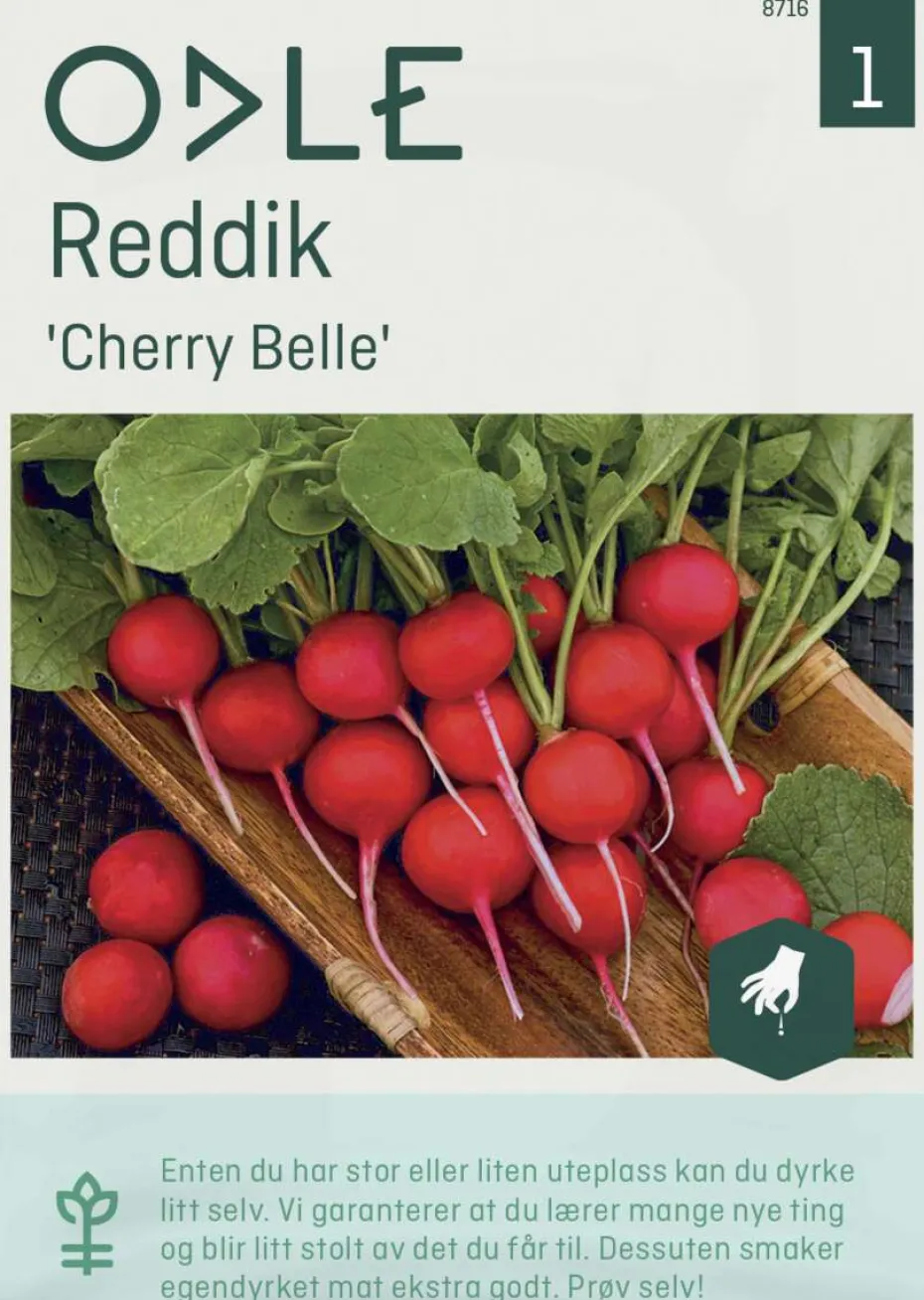 Odle 'Cherry Belle' reddik frø