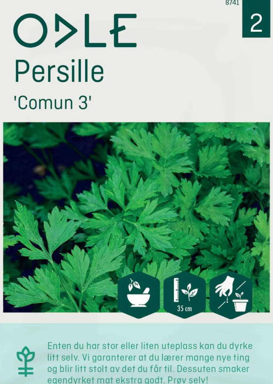 Odle 'Comun 3' persille frø