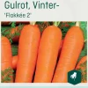 Odle 'Flakkée 2 vinter-' gulrot frø