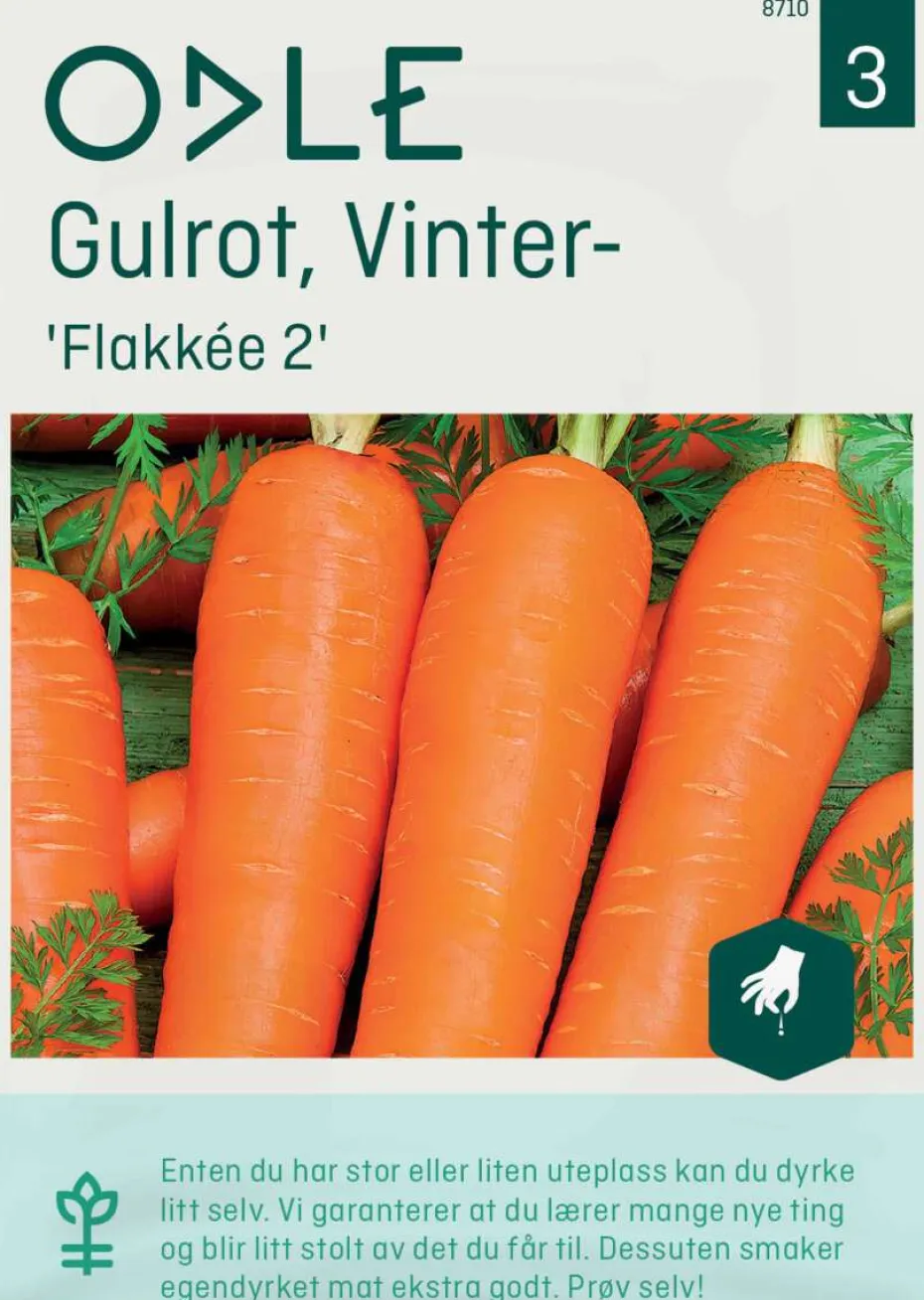Odle 'Flakkée 2 vinter-' gulrot frø