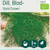 Odle 'Gold Crown' blad dill frø