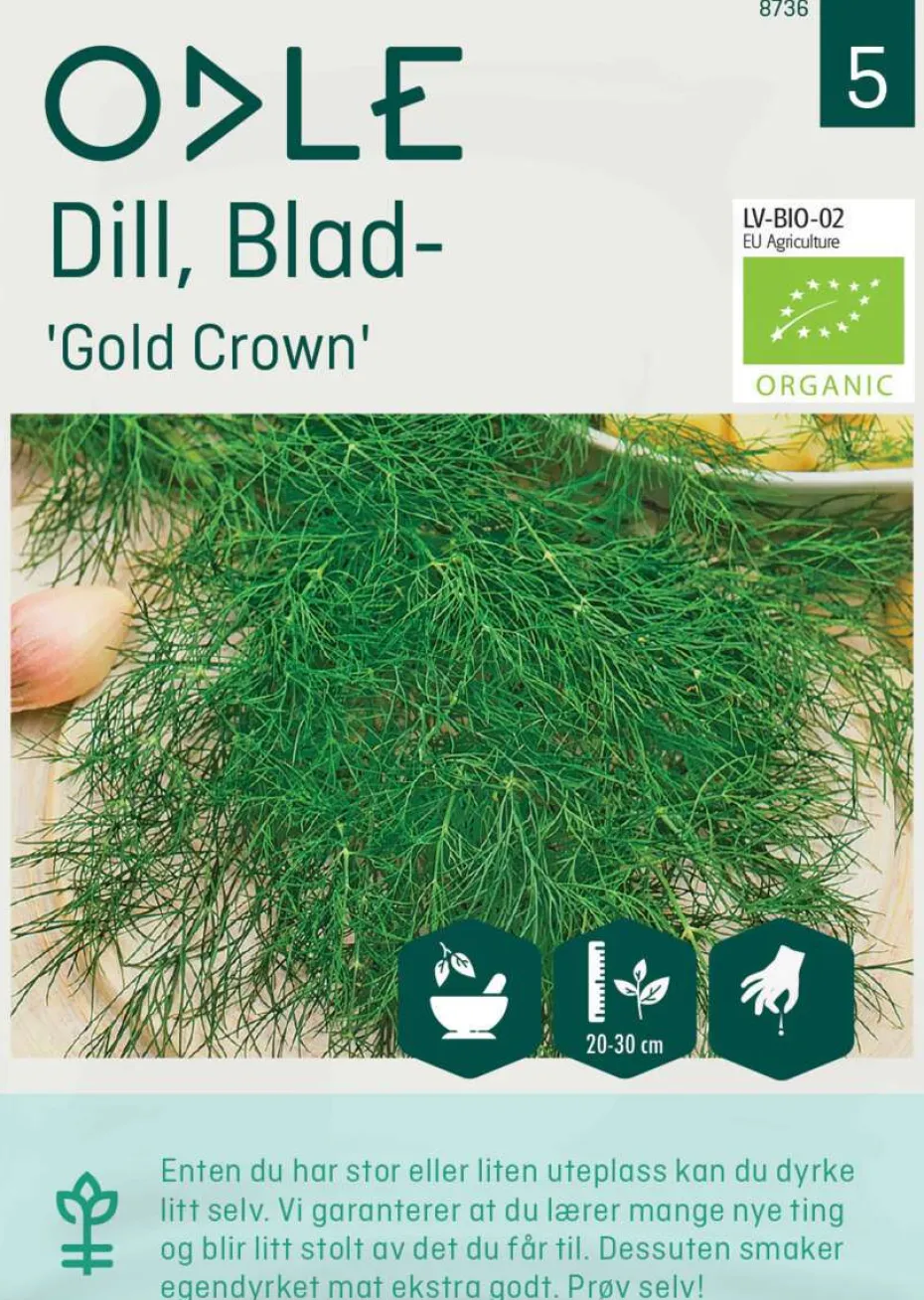Odle 'Gold Crown' blad dill frø
